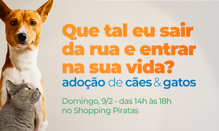 Notícia