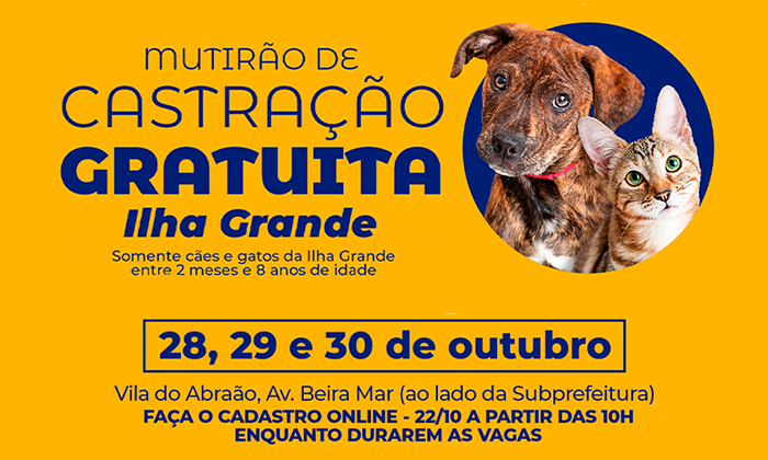 Notícia