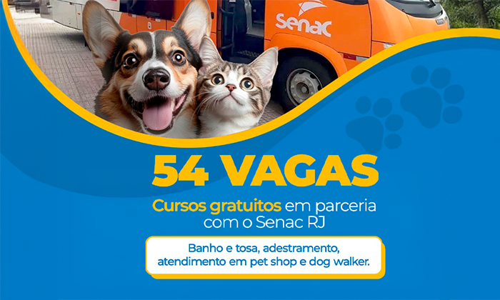 Notícia