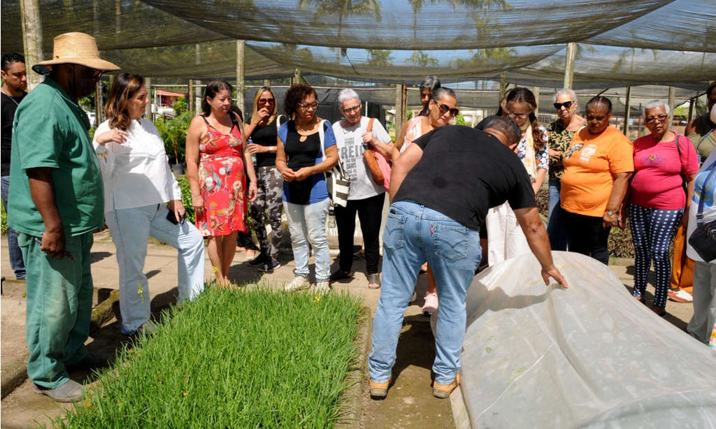 Prefeitura de Angra oferece curso de jardinagem e paisagismo para mulheres do Areal