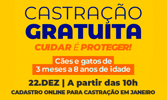 Prefeitura de Angra abre vagas para castração gratuita de cães e gatos em janeiro